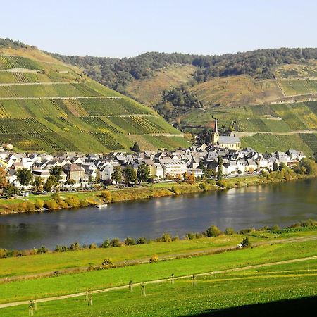 Weinstube Pension Moselbluemchen Целтинген-Рахтиг Екстериор снимка