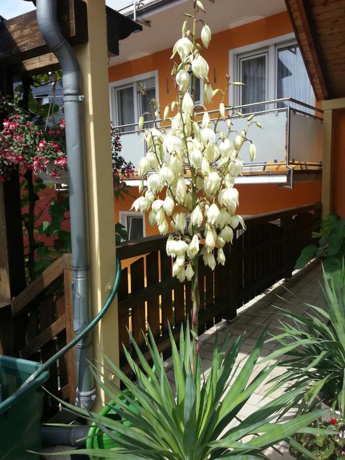 Weinstube Pension Moselbluemchen Целтинген-Рахтиг Екстериор снимка